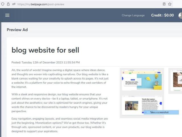 Best Blogging Website For Sale - 4