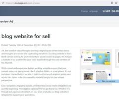 Best Blogging Website For Sale - Image 4