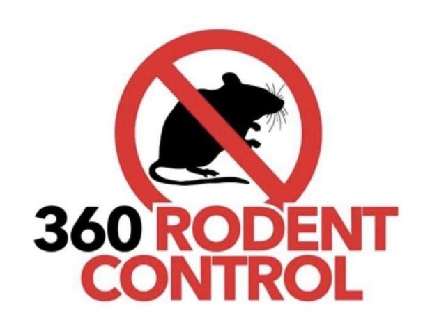 Rodent Control Los Angeles - 1