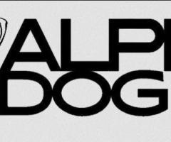 alpinedogco.ca 10% off custom dog gear - Image 2